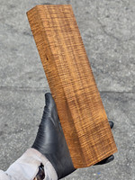 Stabilized Curly Golden Acacia 31 (3.45 x 1.3 x 11.5)