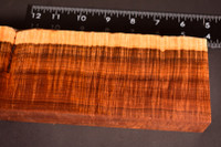 Ringed Gidgee 24 (3.2 x 1.3 x 10.5)