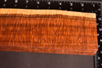 BEST Ringed Gidgee (3.7 - 3.2 x 1.3 x 11)