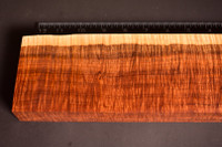 Ringed Gidgee 27 (3.5 x 1.3 x 11.25)