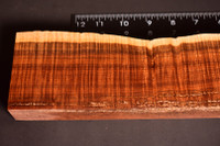 Ringed Gidgee 28 (2.7 - 3.1 x 1.3 x 12)