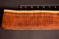 Ringed Gidgee 28 (2.7 - 3.1 x 1.3 x 12)