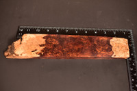 Honduras Rosewood Burl 3 (2.1 - 2.4 x 1.05 x 10)