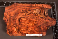 Honduras Rosewood Burl 22 (5.4 x 1.3 x 6.5 - 8.5)