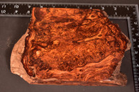Honduras Rosewood Burl 22 (5.4 x 1.3 x 6.5 - 8.5)