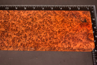 Stabilized Amboyna Burl 38 (4 x 1.15 x 11.75)