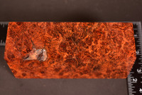 Stabilized Red Amboyna Burl 43 (2.5 x 1.75 x 5.5)