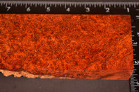 BEST Stabilized Red Amboyna Burl 44 (2.7 x 1.25 x 6 - 8)