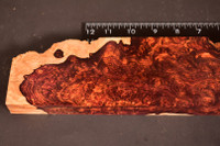 Honduras Rosewood Burl 27 (3 x 1.15 x 14)