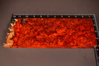 BEST Stabilized Red Amboyna Burl 58 (3.7 x 1.15 x 10.5)