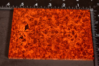 Stabilized Red Amboyna Burl Scales 5 (1.75 x .33 x 5.25)x2