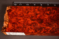 BEST Stabilized Red Amboyna Burl 61 (3.7 x 1.15 x 11.7)