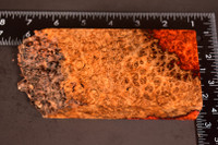 Stabilized Red Amboyna Burl 73 (2.7 x 1.3 x 6 - 4.3)