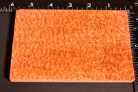 Stabilized Afzelia Xylay Scales 15 (1.8 x .38 x 5.5)x2