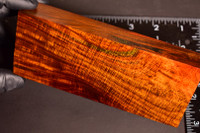 Curly Siam Rosewood 16 (2.35 x 1.25 x 6)