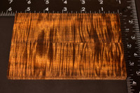 Stabilized Curly Golden Acacia Scales 7B (1.85 x .35 x 5.45)x2