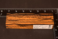 Stabilized Curly Black And White Ebony 31 (1.65 x 1 x 6)