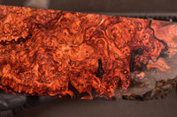 BEST Cocobolo Burl 14 (2.9 x 1.17 x 6-9)