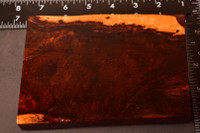 Curly Siam Rosewood 42 (4.25 x 1.1 x 6)