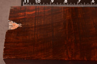 BEST Curly Black Siam Rosewood 54 (3.75 x 1.4 x 11.5)