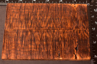 Stabilized Curly Golden Acacia Scales 15B (2.1 x .36 x 5.9)x2