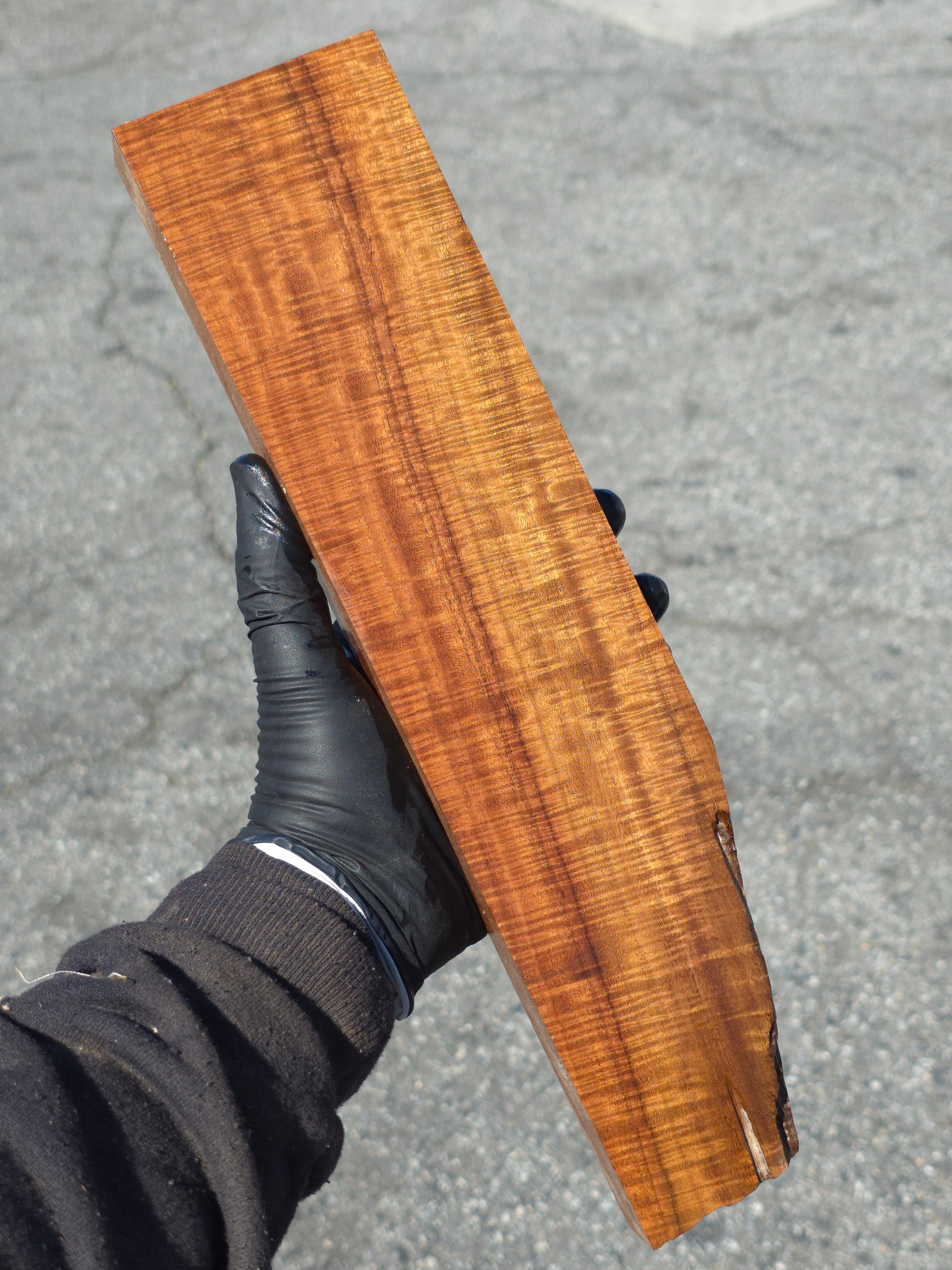 Ringed Gidgee 24A (3.15 x 1.25 x 13)