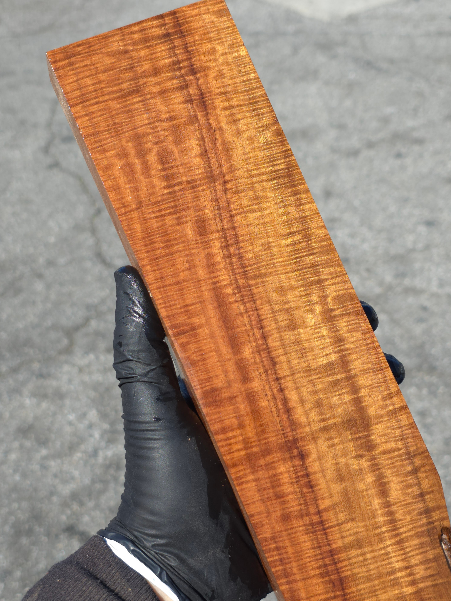 Ringed Gidgee 24A (3.15 x 1.25 x 13)