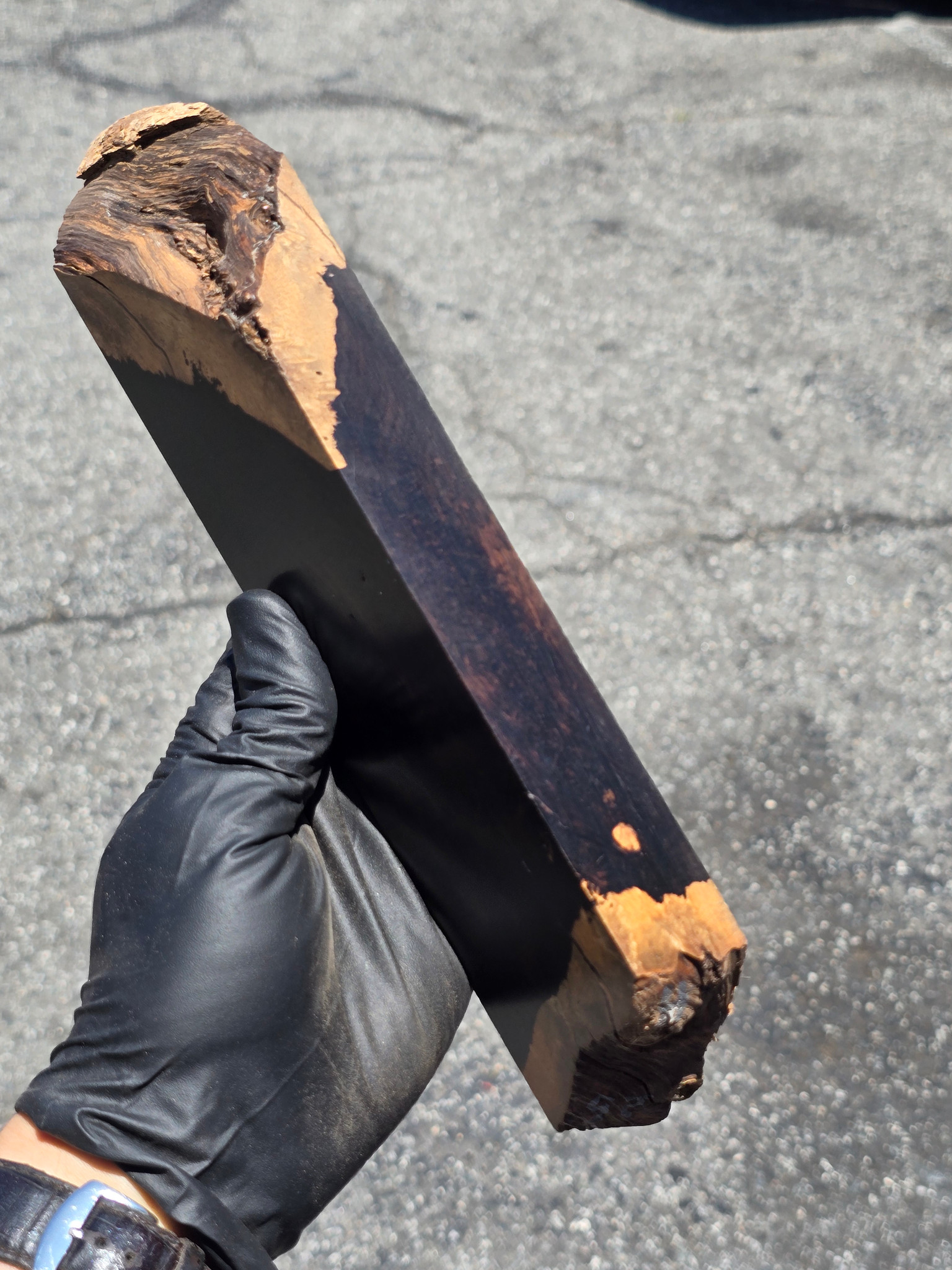 African Blackwood Burl 25 (2.5 x 1.15 x 7 - 10.75)
