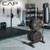 CAP Barbell Olympic Bumper Plate Tree Rack with 4 Weight Plate Posts and 2 Barbell Storage Holders | Multiple Colors