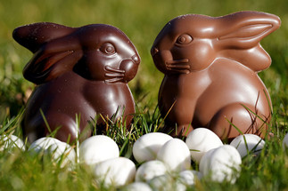 'Tis the Season for the Easter Bunny written by Sarah V.  Hayes 'Tis the Season for the Easter Bunny written by Sarah V.  Hayes