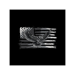 American Eagle Spirit 2 - Square Vinyl Sticker American Eagle Spirit 2 - Square Vinyl Sticker