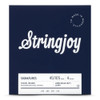 Stringjoy Long Scale Light Top Heavy Bottom Nickel Wound Bass Strings - 45-105