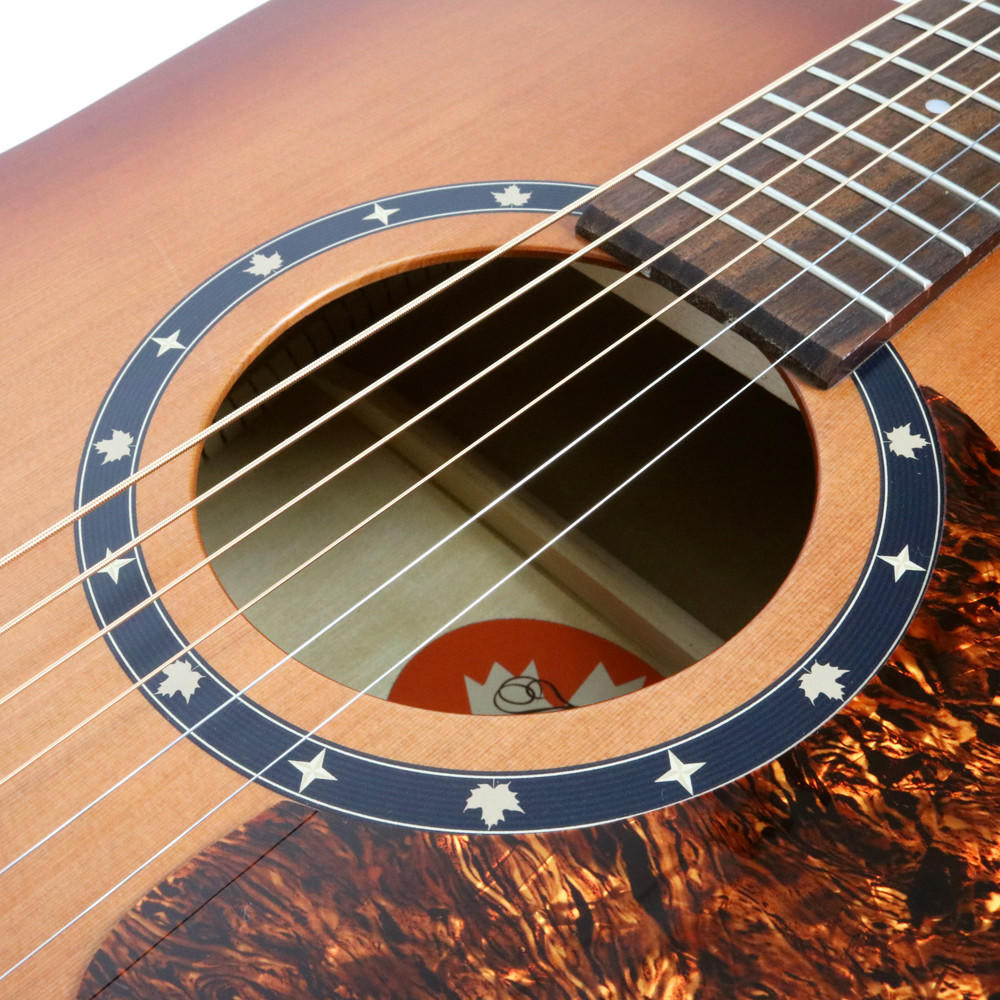 norman protege b18 cedar tobacco burst Used Norman Protege B18 Acoustic Guitar in Tobacco Sunburst