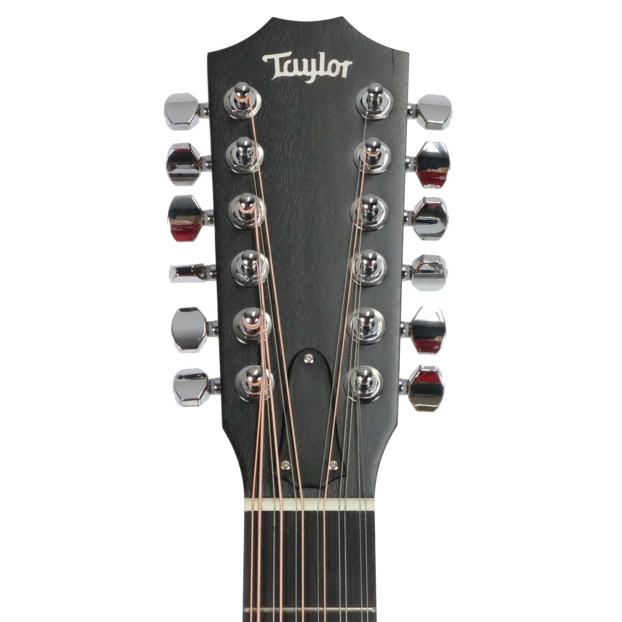 Taylor 150e Walnut & Sitka 12 String Acoustic Electric Guitar