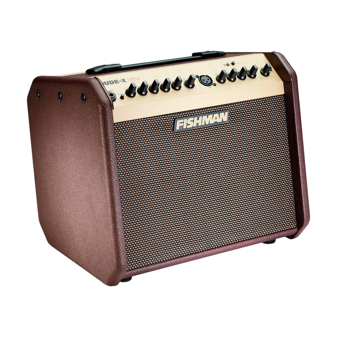 Fishman Loudbox Mini 60W Acoustic Amp - Bluetooth | Cream City Music