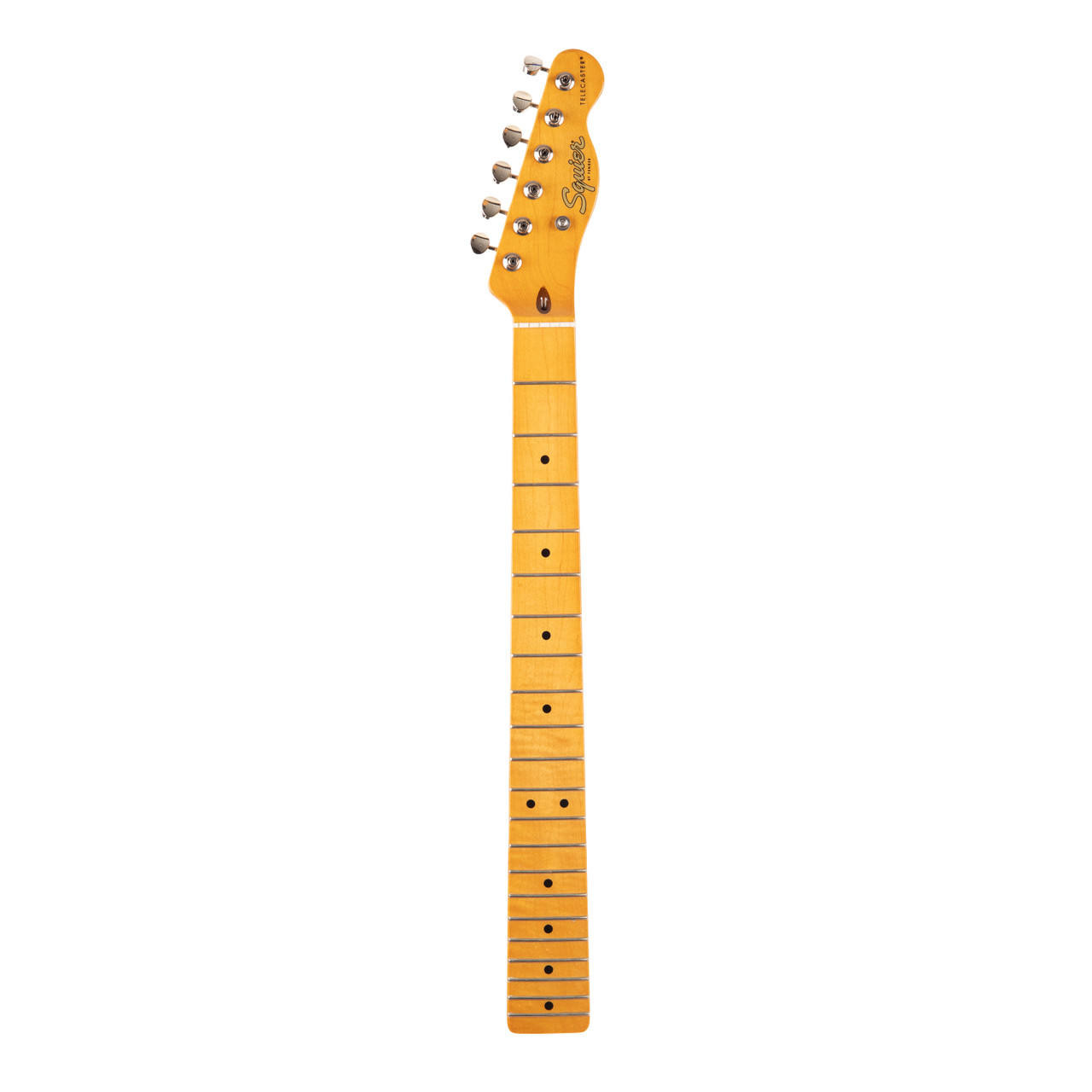 Squier Classic Vibe 50s Telecaster Neck | Cream City Music