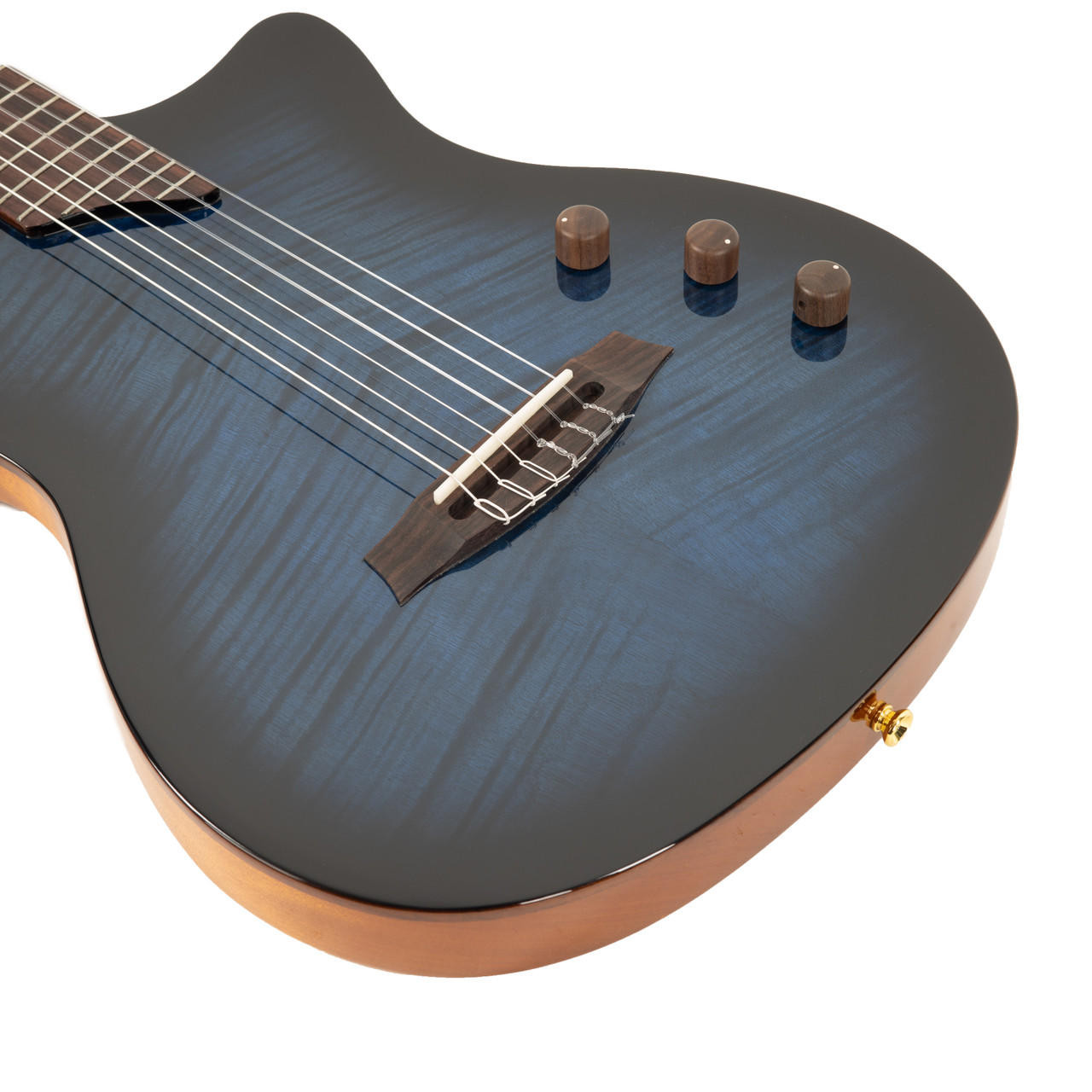 Cordoba Limited Edition Stage Thinbody Nylon Acoustic Electric