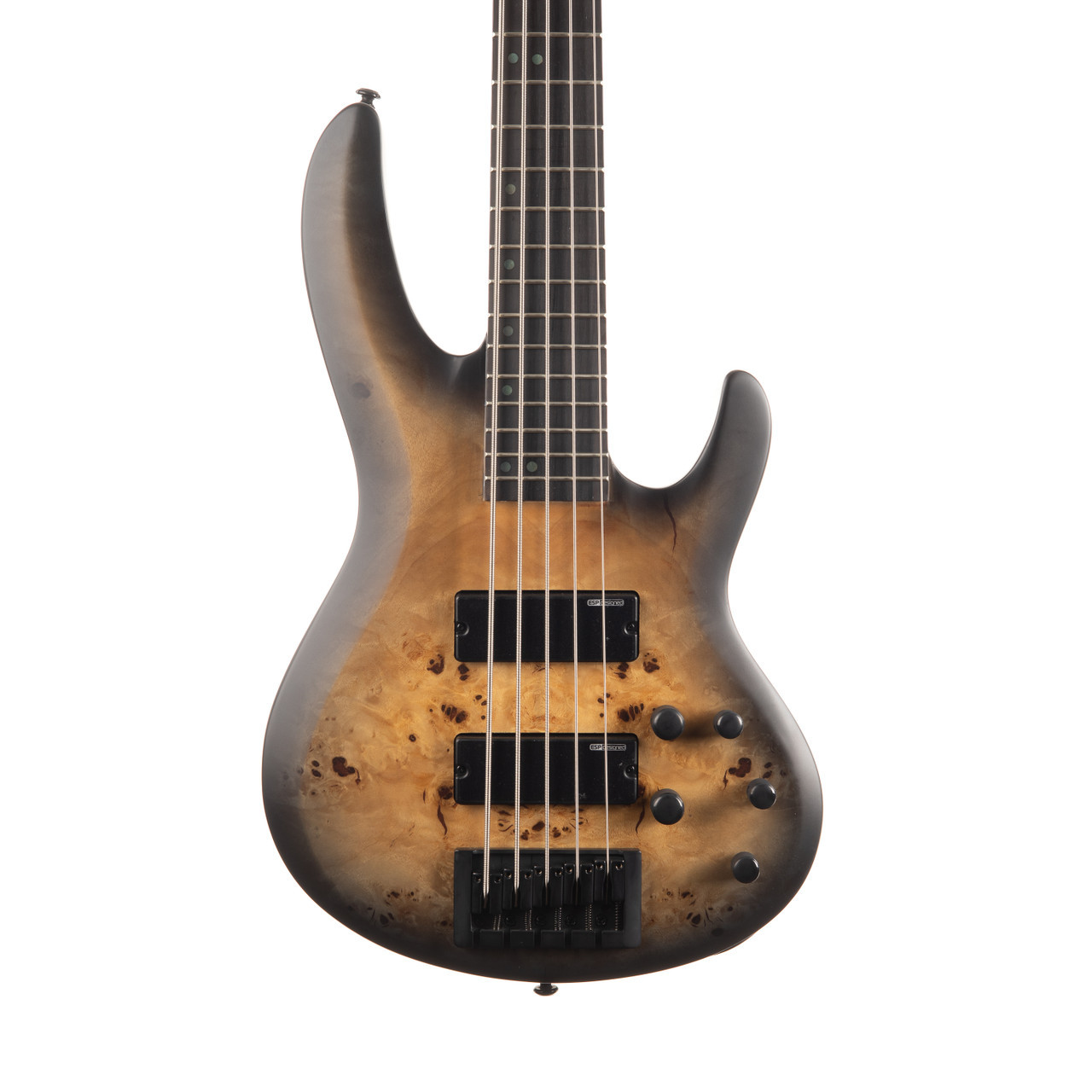 ESP LTD B-5 Ebony 5 String Bass - Charcoal Burst Satin | Cream