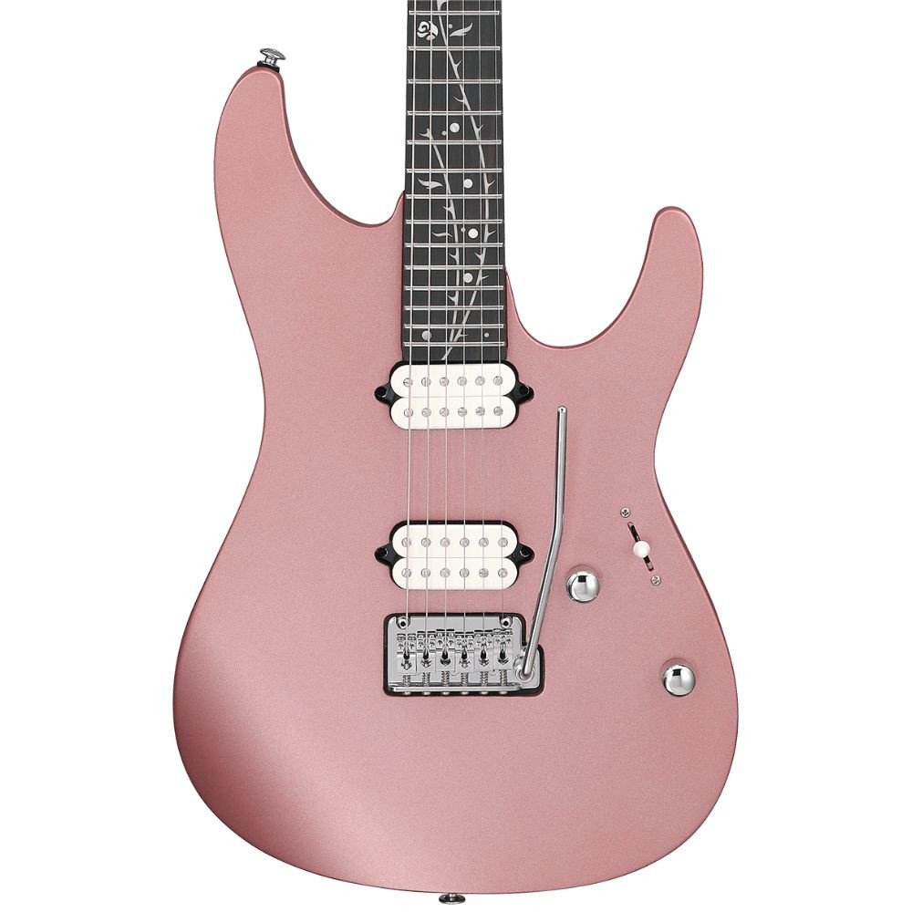 ギター Ibanez WH10 mod Ibanez WH10-V2 Wah V2 with Master Volume Mod. – Herscheid and the