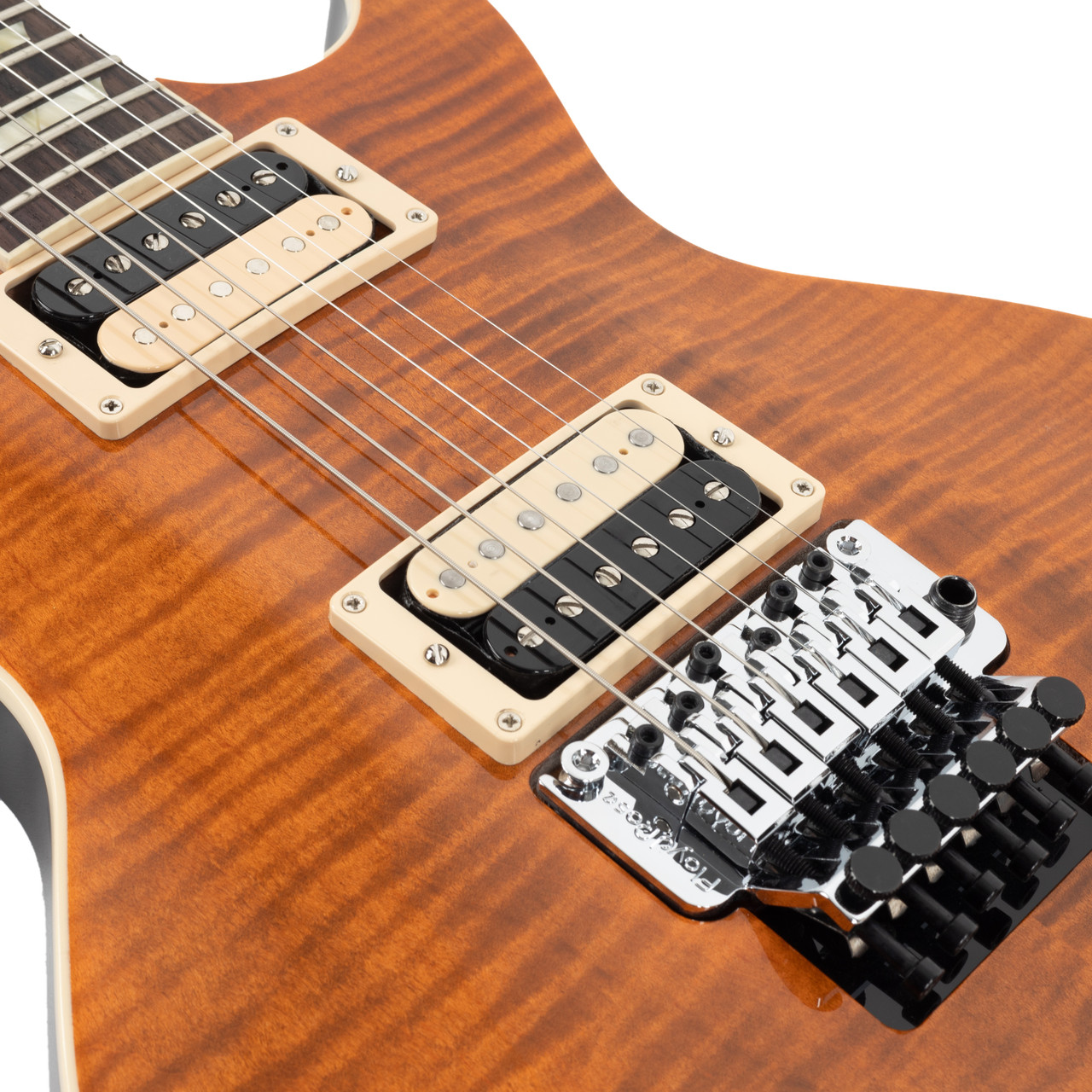 Gibson Custom Les Paul Axcess Standard Floyd Figured - Siberian