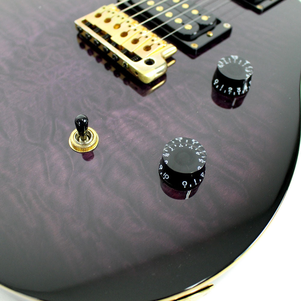 2008 PRS SE Paul Allender Electric Guitar Purple | Cream City Music