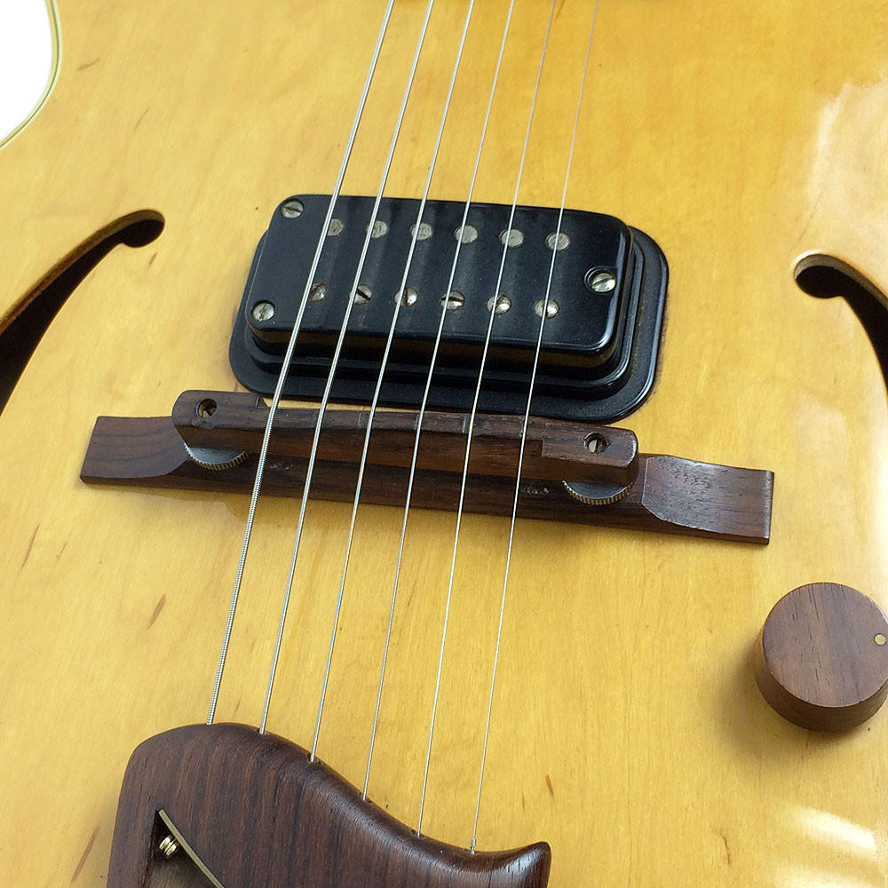 Rare 1984 Fender D'Aquisto Standard Hollow Body Archtop Electric