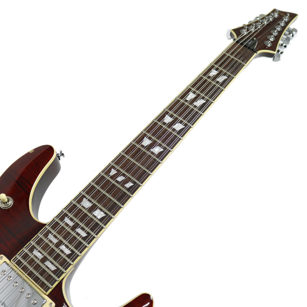 2007 Schecter CSH12 12-String Semi-Hollow Body Electric Guitar w