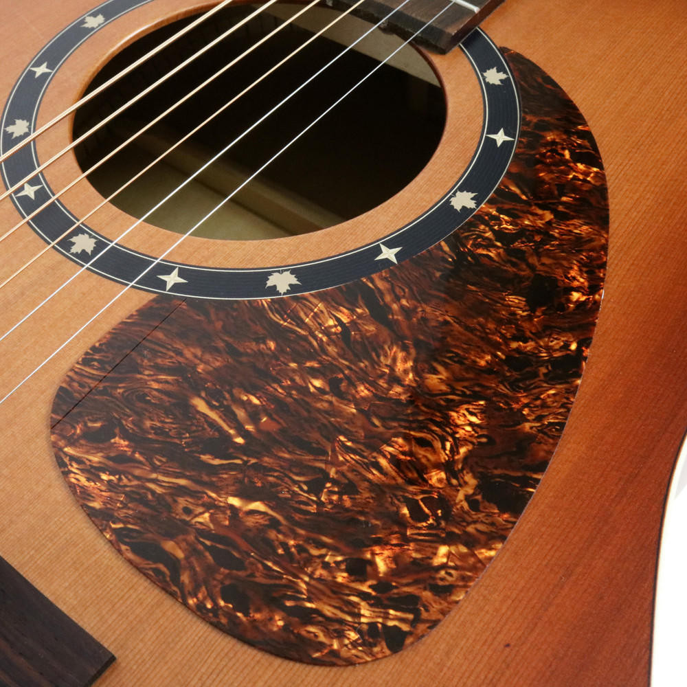 Used Norman Protege B18 Acoustic Guitar in Tobacco Sunburst