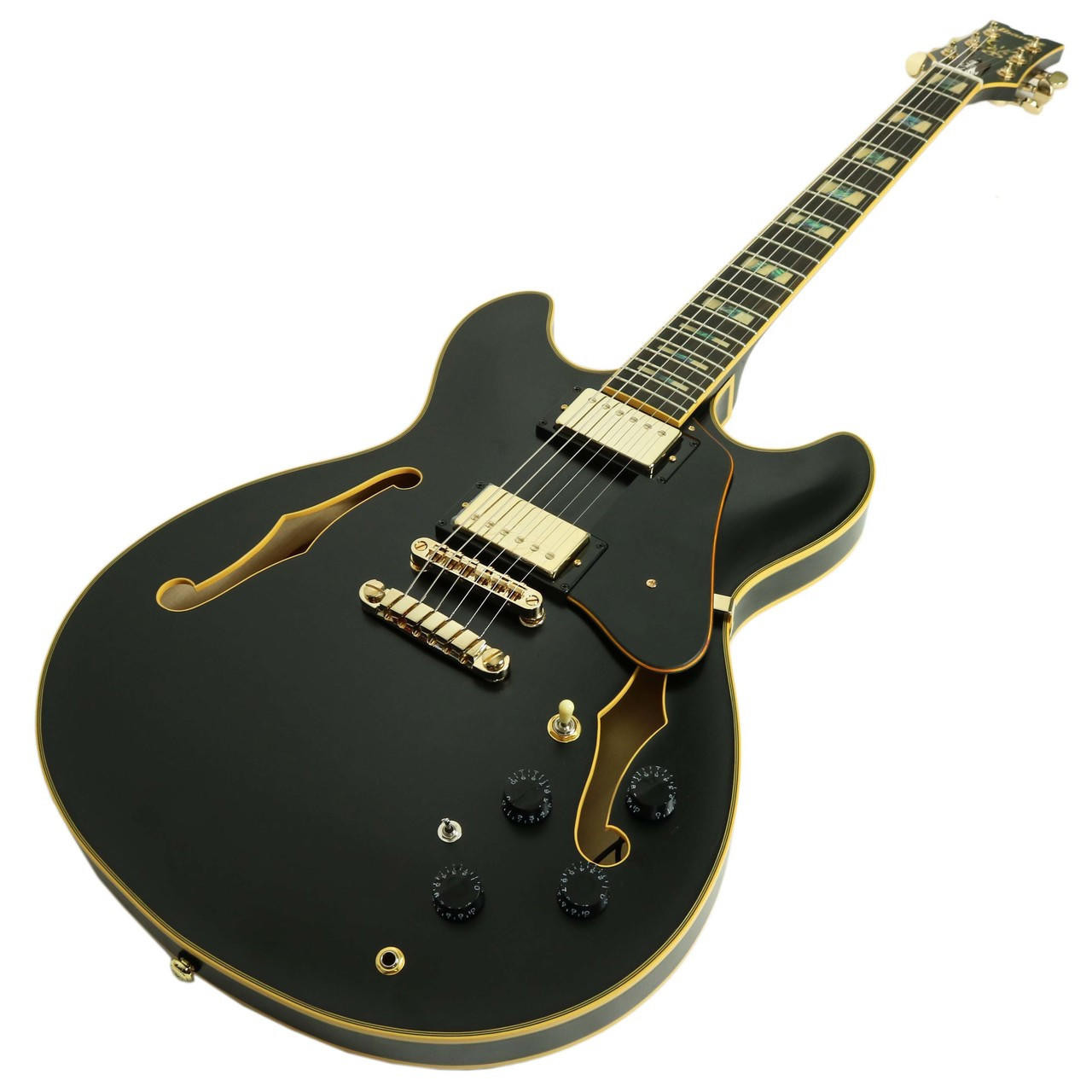 Black ジェラトーニ様 Amazon.com: Ibanez John Scofield JSM20 - Black Low Gloss