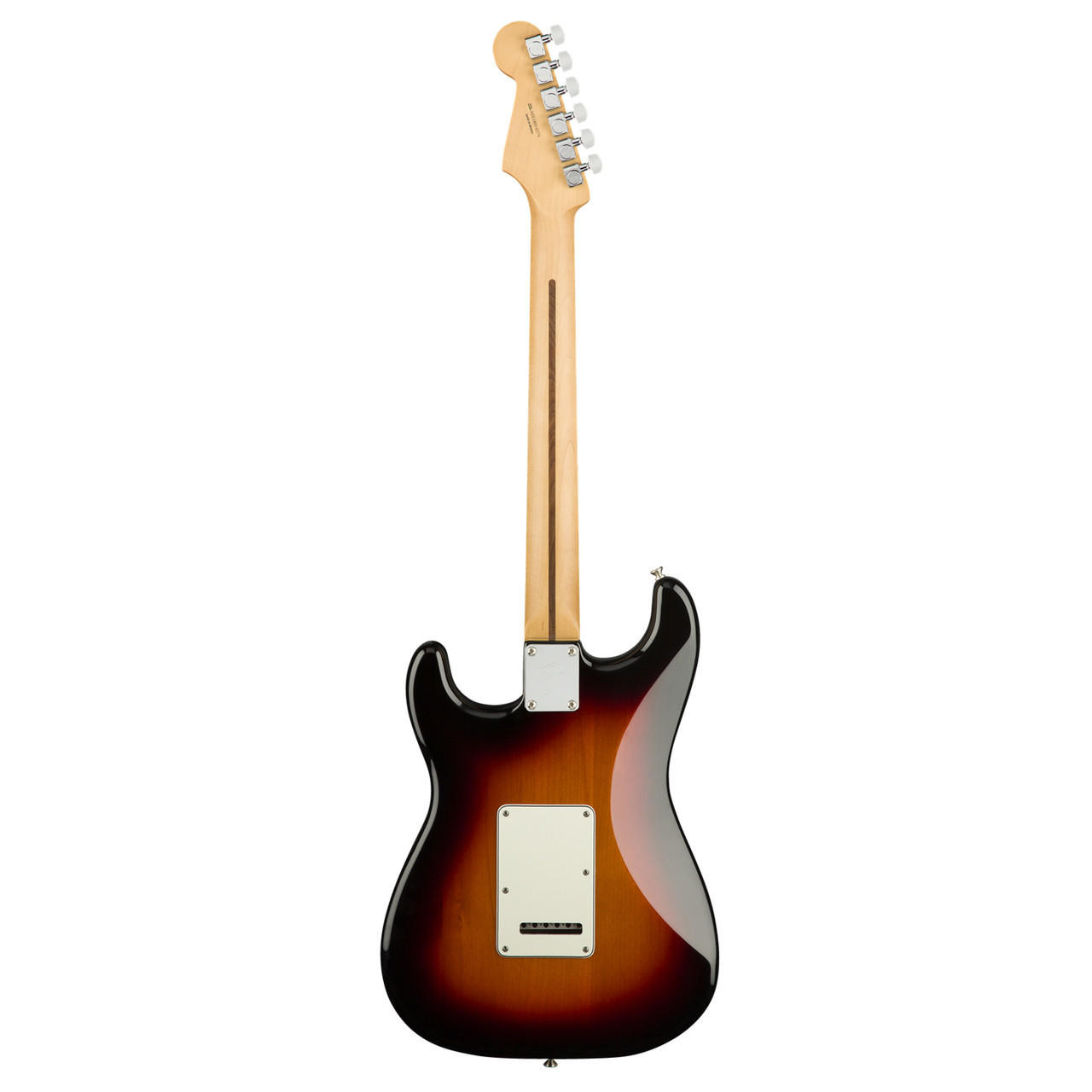 Fender Player Series Stratocaster Pau Ferro - 3 Color