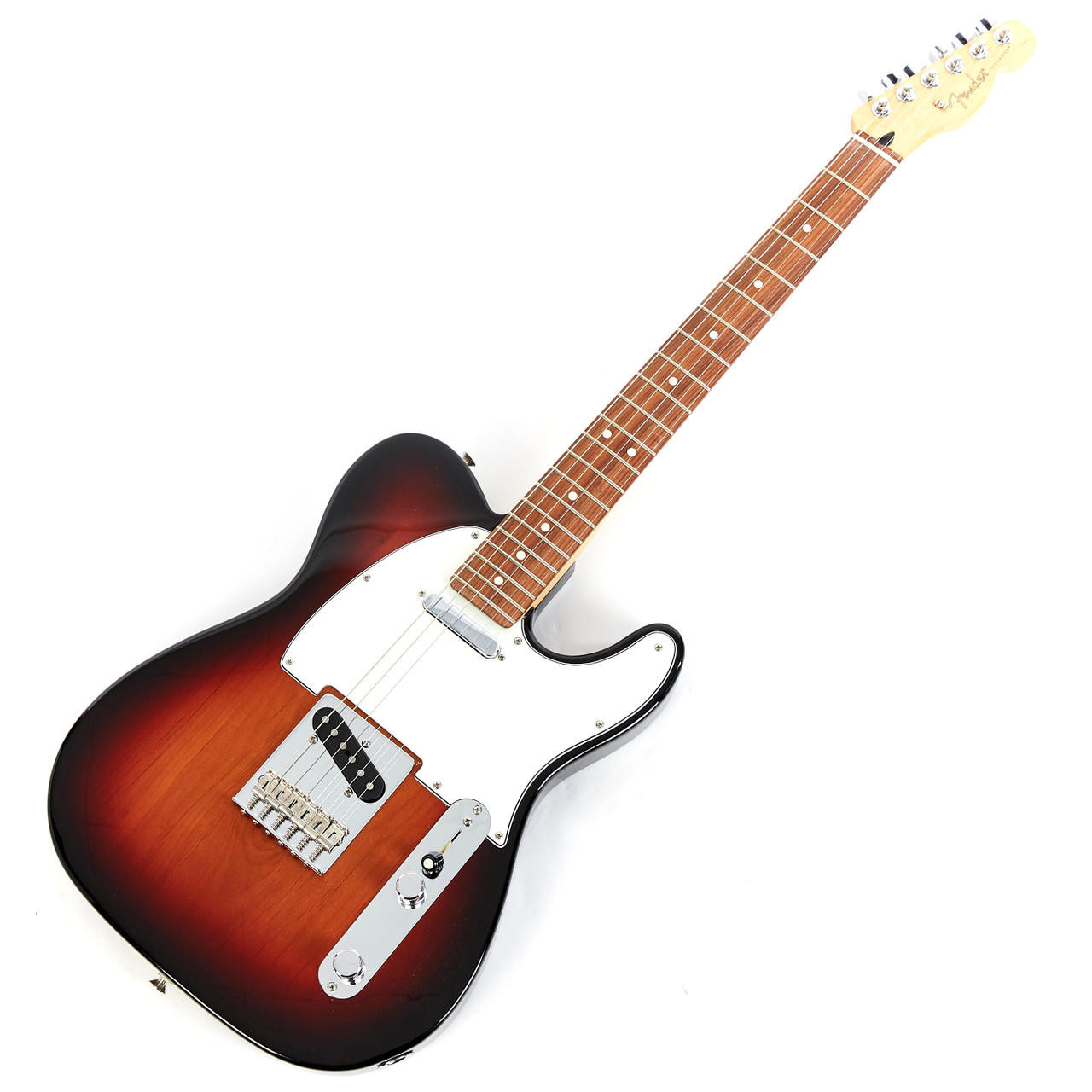 Fender Player Series Telecaster Pau Ferro Neck - 3 Color