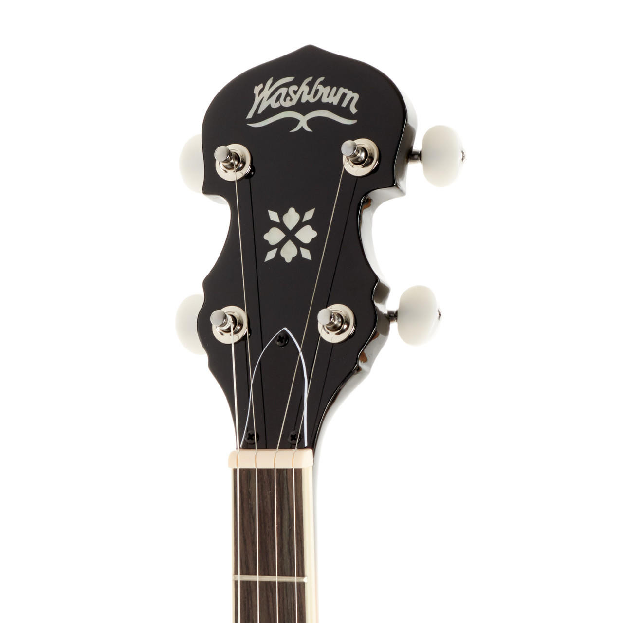 バンジョー washburn こもれ B-9