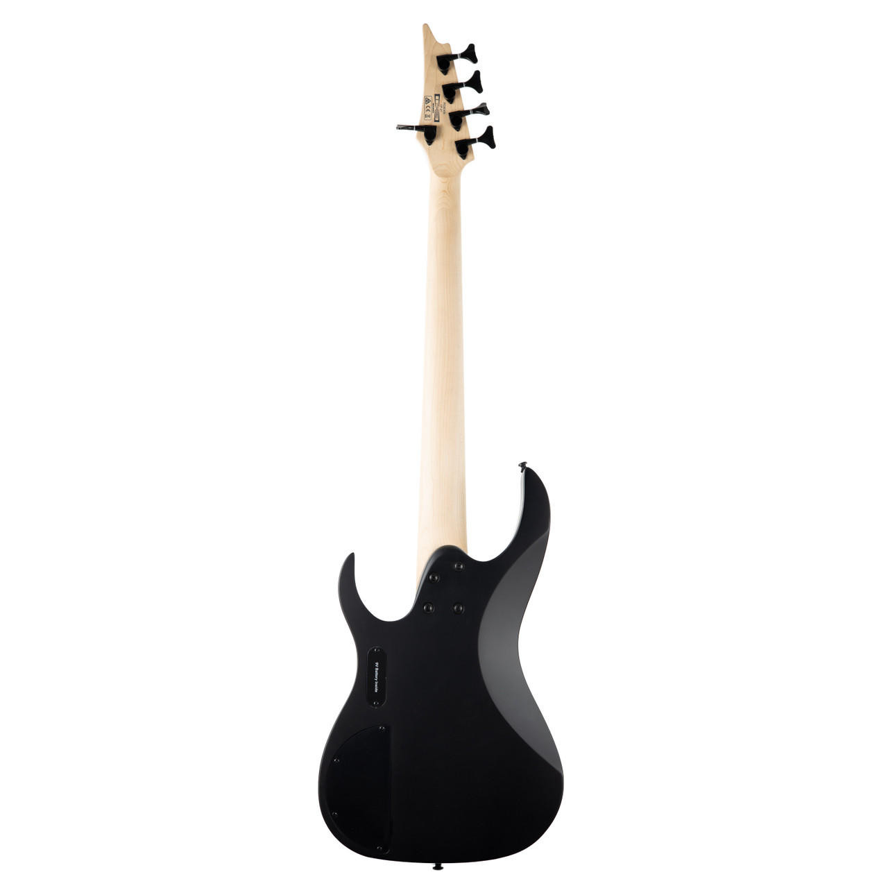 Ibanez RGB305 Standard 5 String Bass - Black Flat | Cream City Music