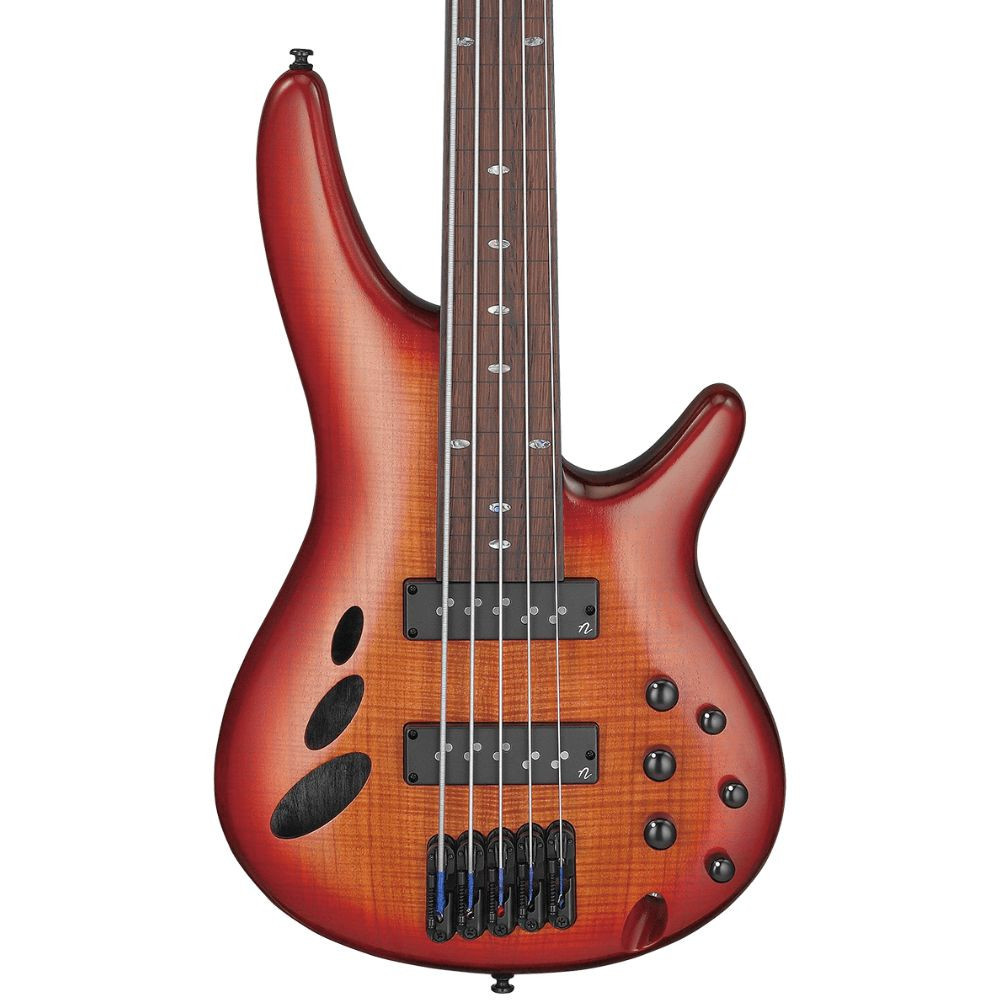Ibanez SR905 Bass Workshop Fretless 5-String Bass - Brown Topaz Burst ...
